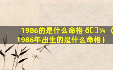 1986的是什么命格 🌼 （1986年出生的是什么命格）